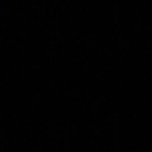 Meet your Posher, Pat